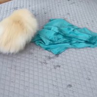 駆け回るポテチくん