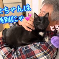 とろ〜ん