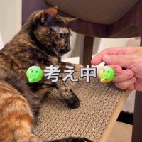 思案