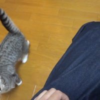 下から見上げて