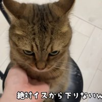 テロップ「絶対イスから～」