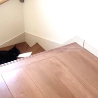 階段を上る黒猫