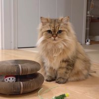 座るリソラちゃん