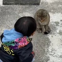 男の子と猫