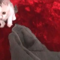 タオルとともにぴたっ