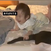 猫のしっぽをつかむ赤ちゃん