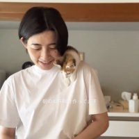 食材を切る女性の手元を見つめる子猫