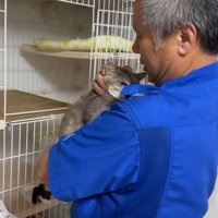 青い服の男性に抱かれる猫ちゃん