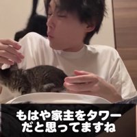 飼い主をタワーにする2匹