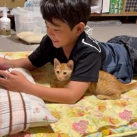 男の子の脇の下にいる子猫