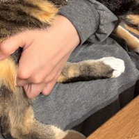手の部分のアップ