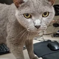 立ち上がった姿