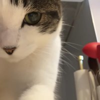 座った姿