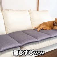 驚きすぎ