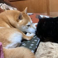 向き合うふたり(少し遠くから)
