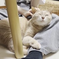 目を細めた表情