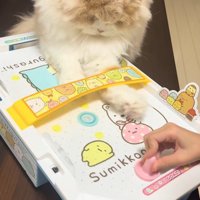 エアホッケーの相手の陣地に手を伸ばす猫