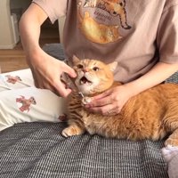 口を開けた姿
