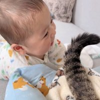 赤ちゃんを尻尾であやすキジトラ猫