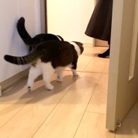 並ぶふたり