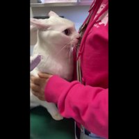 怖がっている様子