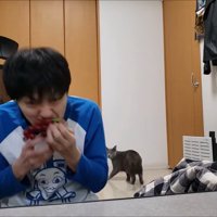 遠くから振り返るすずまろくん