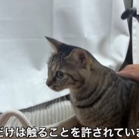 この数秒だけは
