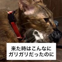 保護当時の専務ママ