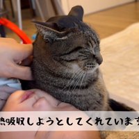 寝込んでいる赤ちゃんのそばに寄り添う猫