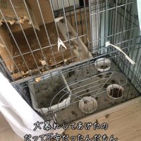 ボロボロのケージ