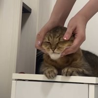 フェイスマッサージ