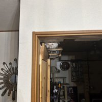ドアの上にある白い物体