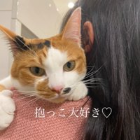 抱っこされる猫