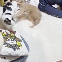 パンチ