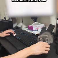 リップクリームを立てる