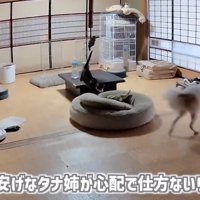 「不安げな...」のテロップ写真