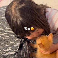 子猫の鼻にキスをする女の子