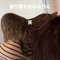 人の首にしがみつく猫