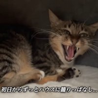 テロップ「初日からずっと～」