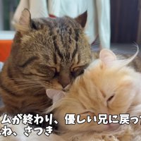 一緒に寝ている写真2