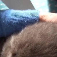 体のドアップ