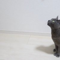 座りながら見上げる姿