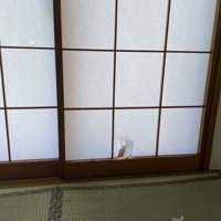 障子に開けられた小さな穴