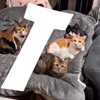 ベッドに「T」の文字