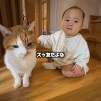 お座りしている猫の隣にいる赤ちゃん