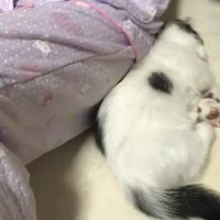 寝る