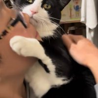 子どもに抱っこされて左前足を上げている猫