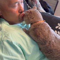 飼い主の上半身の上で伏せをして頭を顎にぶつけている猫