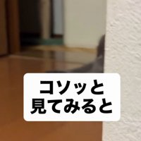 「コソっと～」と書かれた写真
