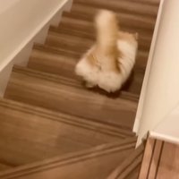 後ろ姿